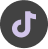 tiktok_icon.png